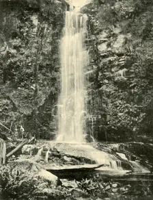 The Erskine Falls, Near Lorne 1901. Creator: Unknown