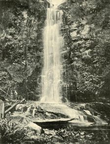The Erskine Falls, Near Lorne 1901. Creator: Unknown