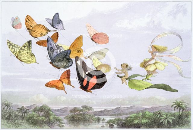 'The Fairy Queen's Carriage', c1870. Creator: Richard Doyle.