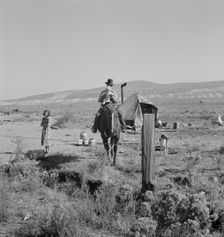 The Fairbanks family has moved to three..., Willow Creek area, Malheur County, Oregon, 1939. Creator: Dorothea Lange