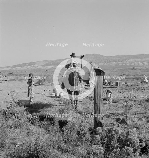 The Fairbanks family has moved to three..., Willow Creek area, Malheur County, Oregon, 1939. Creator: Dorothea Lange.