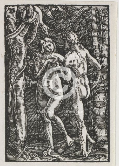 The Fall and Redemption of Man: Adam and Eve Eating the Forbidden Fruit, c. 1513. Creator: Albrecht Altdorfer (German, c. 1480-1538).