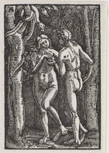 The Fall and Redemption of Man: Adam and Eve Eating the Forbidden Fruit, c. 1513. Creator: Albrecht Altdorfer (German, c. 1480-1538)