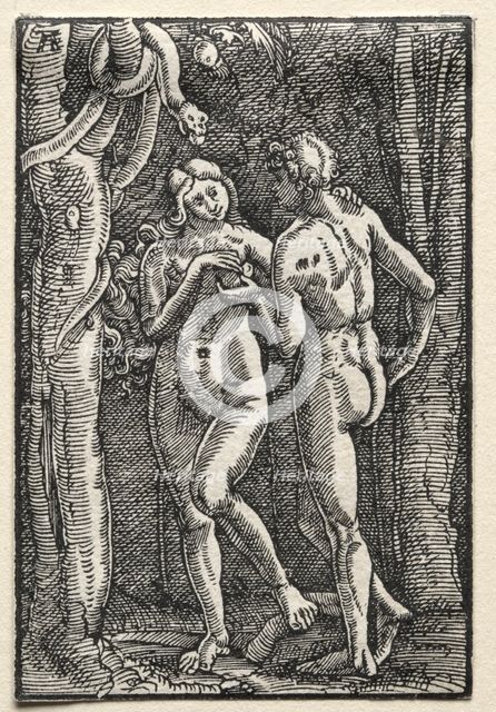 The Fall and Redemption of Man: Adam and Eve Eating the Forbidden Fruit, c. 1515. Creator: Albrecht Altdorfer (German, c. 1480-1538).