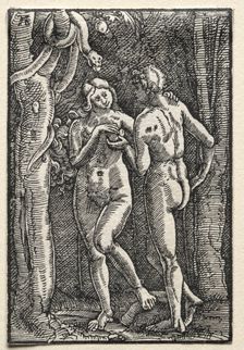 The Fall and Redemption of Man: Adam and Eve Eating the Forbidden Fruit, c. 1515. Creator: Albrecht Altdorfer (German, c. 1480-1538)