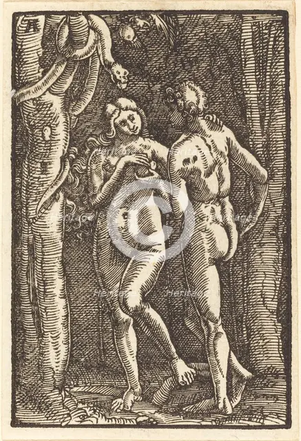 The Fall of Man, c. 1513. Creator: Albrecht Altdorfer.