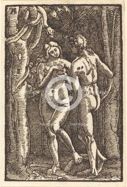 The Fall of Man, c. 1513. Creator: Albrecht Altdorfer.