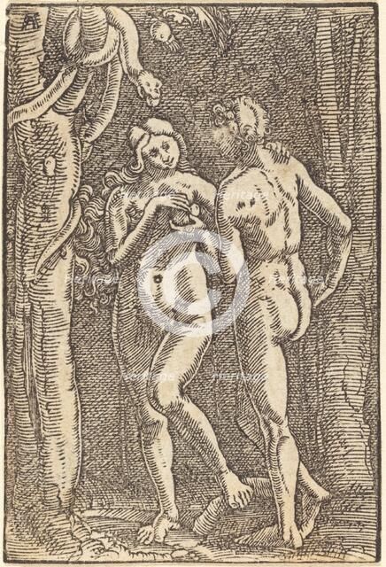 The Fall of Man, c. 1513. Creator: Albrecht Altdorfer.