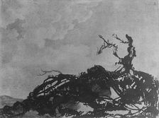 The Fallen Tree, ca. 1785. Creator: Alexander Cozens