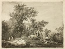 The Fallen Tree Trunk, n.d. Creator: Martin von Molitor