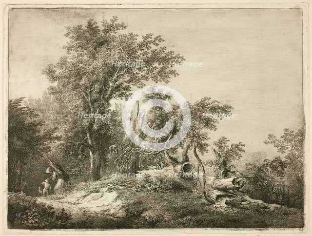 The Fallen Tree Trunk, n.d. Creator: Martin von Molitor.