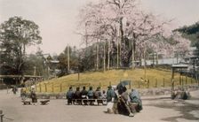 The famous cherry tree at Maruyama, Kyoto 1890's. Creator: Japanese Photographer (19th Century)