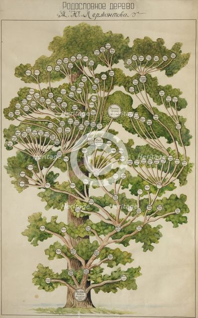 The family tree of Mikhail Lermontov, 1930s. Artist: Anonymous  