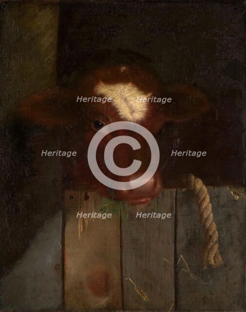 The Family Cow (Calf's Head), 1869. Creator: William Merritt Chase.