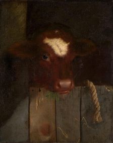 The Family Cow (Calf's Head), 1869. Creator: William Merritt Chase