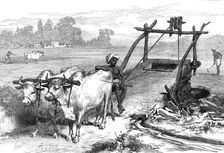 The Famine in Bengal: Indian mode of irrigation, 1874. Creator: Unknown