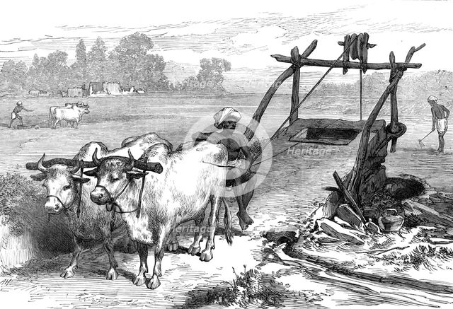 The Famine in Bengal: Indian mode of irrigation, 1874. Creator: Unknown.