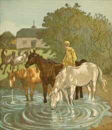 The Farmer's Boy watering horses, c1881. Creator: Randolph Caldecott