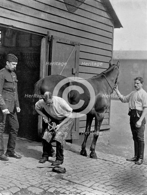 The Farrier-Major of the Royal Horse Guard, 1896.Artist: Gregory & Co