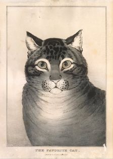 The Favorite Cat, 1838-46., 1838-46. Creator: Nathaniel Currier