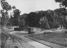 The Fernery, Peradeniya Gardens, Ceylon c1890 (1910). Artist: Alfred William Amandus Plate