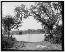 The ferry, Tomoka River, c1894. Creator: William H. Jackson