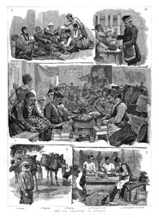 The Fig industry in Smyrna 1886. Creator: Unknown