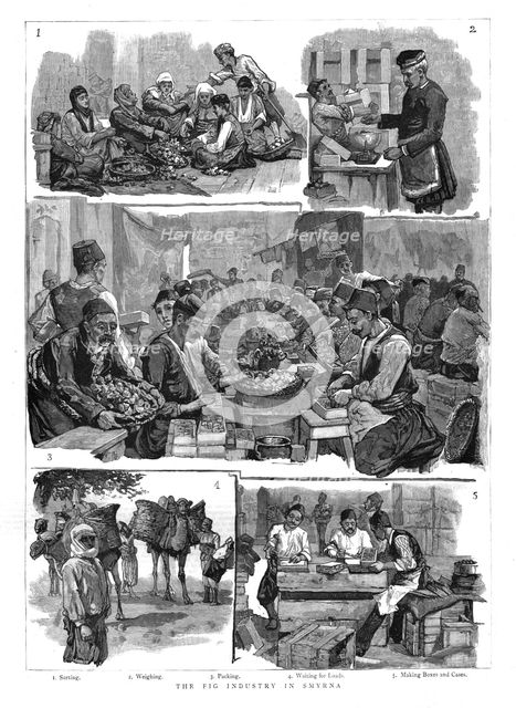 'The Fig industry in Smyrna', 1886.  Creator: Unknown.