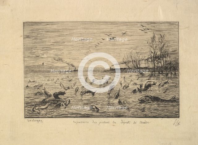 The Fish Rejoice in the Departure of the Cabin Boy, 1861. Creator: Charles Francois Daubigny.