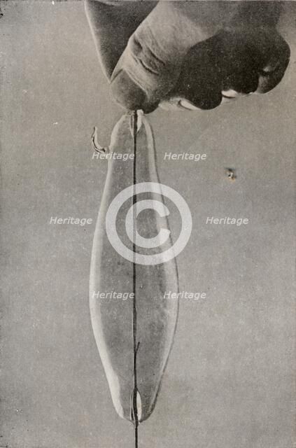 The First Incandescent Electric Lamp, c1916. Artist: Unknown