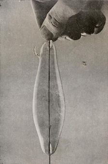 The First Incandescent Electric Lamp, c1916