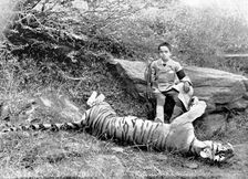 The first tiger shot by Prince Bughwan Singh, aged twelve, 1895. Creator: J. Cowell