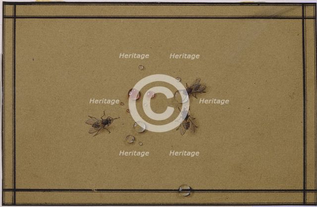 The flies at the waterdrops. Artist: Tolstoy, Fyodor Petrovich (1783-1873)