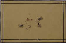 The flies at the waterdrops. Artist: Tolstoy, Fyodor Petrovich (1783-1873)