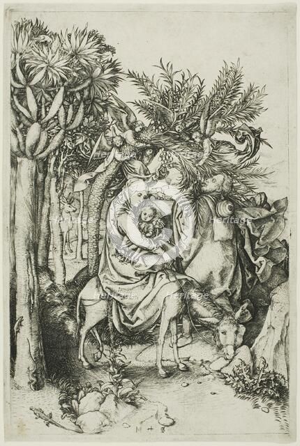 The Flight into Egypt, 1488–91. Creator: Martin Schongauer.