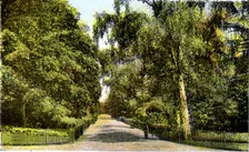 The Flower Walk, Kensington Gardens, London, 20th Century