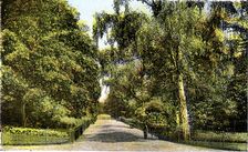 The Flower Walk, Kensington Gardens, London, 20th Century