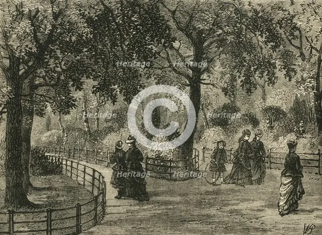 'The Flower Walks, Kensington Gardens', c1876. Creator: Unknown.