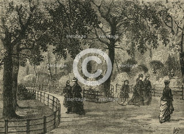 'The Flower Walks, Kensington Gardens', c1876. Creator: Unknown.