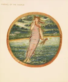 The Flower Book - Marvel of the World, 1905. Creator: Sir Edward Coley Burne-Jones