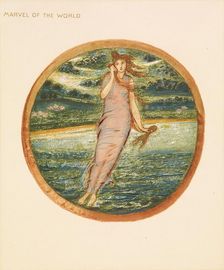 The Flower Book - Marvel of the World, 1905. Creator: Sir Edward Coley Burne-Jones