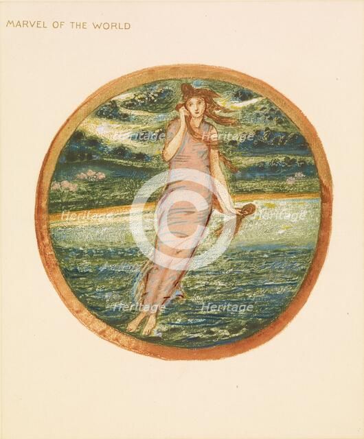 The Flower Book - Marvel of the World, 1905. Creator: Sir Edward Coley Burne-Jones.