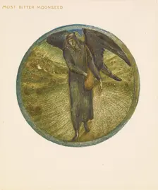 The Flower Book - Most Bitter Moonseed, 1905. Creator: Sir Edward Coley Burne-Jones