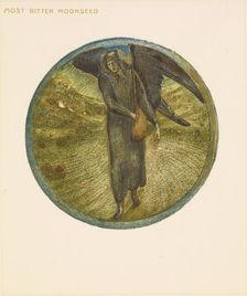 The Flower Book - Most Bitter Moonseed, 1905. Creator: Sir Edward Coley Burne-Jones
