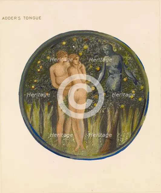 The Flower Book - Adder's Tongue, 1905. Creator: Sir Edward Coley Burne-Jones.
