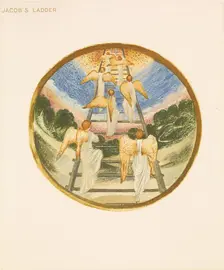 The Flower Book - Jacob's Ladder, 1905. Creator: Sir Edward Coley Burne-Jones