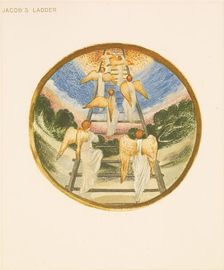 The Flower Book - Jacob's Ladder, 1905. Creator: Sir Edward Coley Burne-Jones