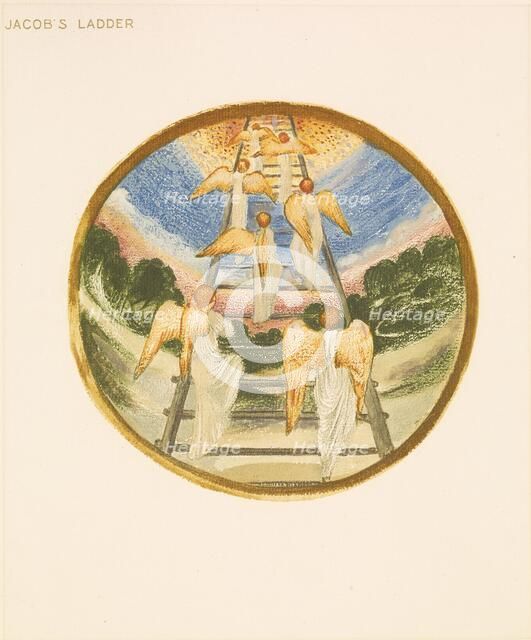 The Flower Book - Jacob's Ladder, 1905. Creator: Sir Edward Coley Burne-Jones.