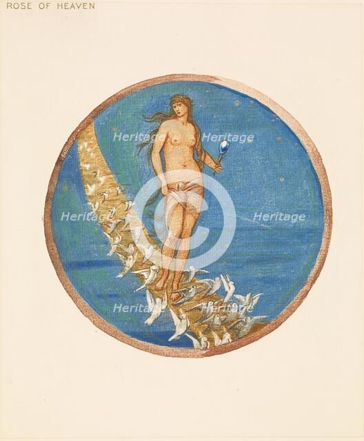 The Flower Book - Rose of Heaven, 1905. Creator: Sir Edward Coley Burne-Jones.