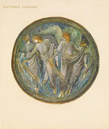 The Flower Book - Scattered Starwort, 1905. Creator: Sir Edward Coley Burne-Jones